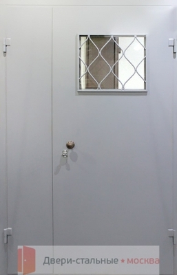 Тамбурная дверь  DMP-012